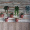 https://cdn-ostrovok-ru-ion.test.edgekey.net/t/100x100/hotel_review/2b/fa/2bfaf09380db365dd502b39542b244f9143885dc.JPEG