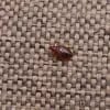 https://cdn-ostrovok-ru-ion.test.edgekey.net/t/100x100/hotel_review/2c/32/2c32730403fb247f7b83e61103c55d24378ddb77.jpeg