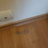 https://cdn-ostrovok-ru-ion.test.edgekey.net/t/100x100/hotel_review/2c/3a/2c3ac2370d1ea51ac248e151eb1129cadf18534e.JPEG
