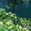 https://cdn-ostrovok-ru-ion.test.edgekey.net/t/100x100/hotel_review/2c/3f/2c3f530db4ae7334a36d7d5d4e8040d6f4cb638d.JPEG