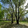 https://cdn-ostrovok-ru-ion.test.edgekey.net/t/100x100/hotel_review/2c/45/2c45f018a2e95dc74634f9a7dddbcf7b7dd9d9ec.JPEG