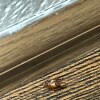 https://cdn-ostrovok-ru-ion.test.edgekey.net/t/100x100/hotel_review/2c/47/2c47bb122bc8c918a3ab7589560eb96f90f60b88.JPEG