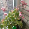 https://cdn-ostrovok-ru-ion.test.edgekey.net/t/100x100/hotel_review/2c/48/2c4873b41cf0b414cd55c6c1ed2a7e203198d35d.JPEG