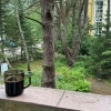 https://cdn-ostrovok-ru-ion.test.edgekey.net/t/100x100/hotel_review/2c/6c/2c6c1597177c859e7920b262b0274e293477aa33.JPEG