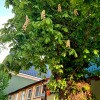 https://cdn-ostrovok-ru-ion.test.edgekey.net/t/100x100/hotel_review/2c/83/2c837e12c22127e0b4f347dd9ebd6ae1466ac6c0.JPEG