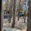 https://cdn-ostrovok-ru-ion.test.edgekey.net/t/100x100/hotel_review/2c/92/2c924058a38dd4121d152078c0b26a6036c02438.JPEG