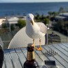 https://cdn-ostrovok-ru-ion.test.edgekey.net/t/100x100/hotel_review/2c/c3/2cc3ff9be276bbcefa97fb3d199db983c7af875b.JPEG