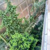 https://cdn-ostrovok-ru-ion.test.edgekey.net/t/100x100/hotel_review/2c/ea/2cea18d690d285928ffcdee0cd05350ab18ca008.jpeg