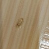 https://cdn-ostrovok-ru-ion.test.edgekey.net/t/100x100/hotel_review/2c/eb/2ceb7771ab16ba0dc6aa5407acea6671bad2aa47.JPEG
