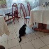 https://cdn-ostrovok-ru-ion.test.edgekey.net/t/100x100/hotel_review/2c/ef/2cef6e0348b97c49a4cc3819c3839cf2c4ea617f.JPEG