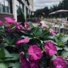 https://cdn-ostrovok-ru-ion.test.edgekey.net/t/100x100/hotel_review/2d/01/2d01741f64e552be0239389ea5d2a0fd20ec198b.JPEG