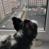 https://cdn-ostrovok-ru-ion.test.edgekey.net/t/100x100/hotel_review/2d/5a/2d5ab7a04b4ae66f59fa5ea5942895e8707866ae.JPEG