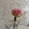 https://cdn-ostrovok-ru-ion.test.edgekey.net/t/100x100/hotel_review/2d/65/2d65a74f3b192c9a03bd532f2047c1482794c8ea.JPEG