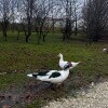 https://cdn-ostrovok-ru-ion.test.edgekey.net/t/100x100/hotel_review/2d/67/2d67fffc8e2a50005bbf8b440f4dd24c0d8ee4e5.jpeg