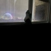 https://cdn-ostrovok-ru-ion.test.edgekey.net/t/100x100/hotel_review/2d/f3/2df33cfc624ac8025c780f2f60e53f9c46fe3d40.JPEG