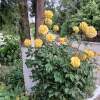 https://cdn-ostrovok-ru-ion.test.edgekey.net/t/100x100/hotel_review/2e/49/2e49fbb7e15bda89f573d172e89706e8499f40d9.JPEG