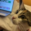 https://cdn-ostrovok-ru-ion.test.edgekey.net/t/100x100/hotel_review/2e/a6/2ea6aa32580bbe54e3381f3766a0e3d9bc6fa65d.JPEG
