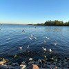 https://cdn-ostrovok-ru-ion.test.edgekey.net/t/100x100/hotel_review/2f/0f/2f0fb6a511bb54759df504c9d94ccc2bc50bd716.JPEG