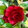 https://cdn-ostrovok-ru-ion.test.edgekey.net/t/100x100/hotel_review/2f/1f/2f1f9db4783a72c5b2a1a1f88469d6eb774a123b.jpeg