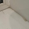 https://cdn-ostrovok-ru-ion.test.edgekey.net/t/100x100/hotel_review/2f/71/2f7101ade94d04a295778a979a0563ac07f17cbf.JPEG