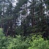 https://cdn-ostrovok-ru-ion.test.edgekey.net/t/100x100/hotel_review/2f/a0/2fa023293f8c5facf83e698771aff9d843488027.JPEG
