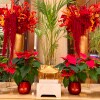 https://cdn-ostrovok-ru-ion.test.edgekey.net/t/100x100/hotel_review/2f/e5/2fe5e9e9e7713cdaa290b3cbab79415cc0ac7143.JPEG