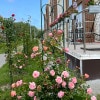 https://cdn-ostrovok-ru-ion.test.edgekey.net/t/100x100/hotel_review/30/61/3061ca989134dd9fcbbb0c21e6b7b7af10683496.JPEG