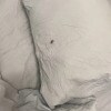 https://cdn-ostrovok-ru-ion.test.edgekey.net/t/100x100/hotel_review/30/b5/30b5fcfc2aa698018446ac3f0fd6016f95ca1a39.jpeg