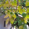https://cdn-ostrovok-ru-ion.test.edgekey.net/t/100x100/hotel_review/30/d7/30d781859144fa7a5c06f7677761526698848805.jpeg