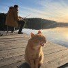 https://cdn-ostrovok-ru-ion.test.edgekey.net/t/100x100/hotel_review/30/da/30da5d53a316686f213abbe1f1b5ff51bd9a13f9.JPEG