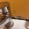 https://cdn-ostrovok-ru-ion.test.edgekey.net/t/100x100/hotel_review/31/16/31169a10e2729a36295f22da8fe73e23501da55f.JPEG
