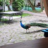 https://cdn-ostrovok-ru-ion.test.edgekey.net/t/100x100/hotel_review/31/28/31289680eb9b70ad65bd2ba4c29ff7396b9fef20.JPEG