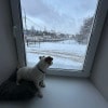 https://cdn-ostrovok-ru-ion.test.edgekey.net/t/100x100/hotel_review/31/5e/315eab0e40aa4aa24d7243db32a649e0f40e01de.JPEG