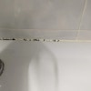 https://cdn-ostrovok-ru-ion.test.edgekey.net/t/100x100/hotel_review/31/6d/316d9632b13c532fe50c66b4c151a81c9dfaeea7.JPEG