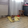 https://cdn-ostrovok-ru-ion.test.edgekey.net/t/100x100/hotel_review/31/84/3184c4c55bd117d8c76fc9b6fef42831fd55e7a9.jpeg