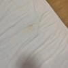 https://cdn-ostrovok-ru-ion.test.edgekey.net/t/100x100/hotel_review/31/8c/318c5367c44f397cf32a9cee23b9ceb93e72debb.JPEG
