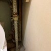 https://cdn-ostrovok-ru-ion.test.edgekey.net/t/100x100/hotel_review/31/95/3195e80c289011b5732a6534c1fe3f34dcad95de.JPEG