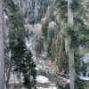 https://cdn-ostrovok-ru-ion.test.edgekey.net/t/100x100/hotel_review/31/b0/31b066d5deb21832b14c32b23518533738e0c71a.JPEG