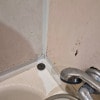https://cdn-ostrovok-ru-ion.test.edgekey.net/t/100x100/hotel_review/31/cf/31cf14c3127b6f22524dae99dd12b8577f493f0e.JPEG