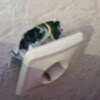 https://cdn-ostrovok-ru-ion.test.edgekey.net/t/100x100/hotel_review/31/ec/31ec6cc076a4793b7fba17b3cb4dc90d196e8389.JPEG