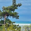 https://cdn-ostrovok-ru-ion.test.edgekey.net/t/100x100/hotel_review/32/02/3202975f93f4655e89b9becf4e17f1d000a31bbb.JPEG