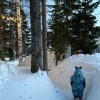 https://cdn-ostrovok-ru-ion.test.edgekey.net/t/100x100/hotel_review/32/0d/320d111bce0a8fb2bf559a61baf384f5ed950655.JPEG