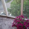 https://cdn-ostrovok-ru-ion.test.edgekey.net/t/100x100/hotel_review/32/50/3250d98d4ce840756ed00f0b2b1c3f735af414c1.JPEG