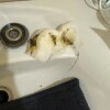 https://cdn-ostrovok-ru-ion.test.edgekey.net/t/100x100/hotel_review/32/56/325678b96acfded09141f3a0bdce0aa0d09fa624.JPEG
