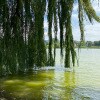 https://cdn-ostrovok-ru-ion.test.edgekey.net/t/100x100/hotel_review/32/78/32780a0c63efa181f85b1b85ad03f4098981e97e.JPEG