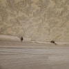 https://cdn-ostrovok-ru-ion.test.edgekey.net/t/100x100/hotel_review/32/8c/328c223a758299d6b6591121a95b27c14b2373f7.JPEG