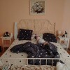 https://cdn-ostrovok-ru-ion.test.edgekey.net/t/100x100/hotel_review/32/9b/329b020f0b2b7b78b3c8331c1f38cc205cec3312.JPEG