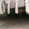 https://cdn-ostrovok-ru-ion.test.edgekey.net/t/100x100/hotel_review/32/ae/32ae695767e552d3abfdf36906d591816b8b0629.JPEG