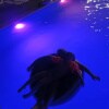 https://cdn-ostrovok-ru-ion.test.edgekey.net/t/100x100/hotel_review/32/b9/32b9f6eda88a654eee421e2964b8593c3f6da087.JPEG