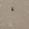 https://cdn-ostrovok-ru-ion.test.edgekey.net/t/100x100/hotel_review/32/c8/32c818505a99850fc145af01757069e29fd4906c.JPEG